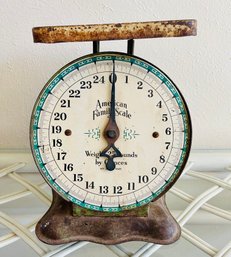 Vintage American Family Scale