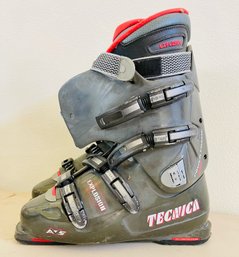 Vintage Tecnica Carbon Tech Ski Boots