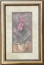 Albena Hristova Phalaenopsis Orchid Art Print In Frame