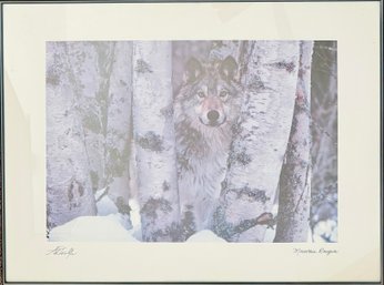 Mountain Rouger Large Framed Wolf Print