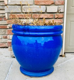 Intense Blue Plant Pot