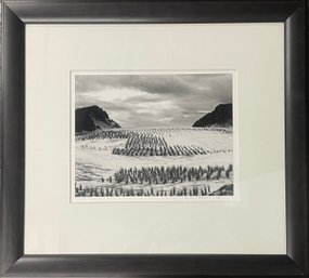 Scotland Prairie Black And White Silver Print By Ronald Wohlauer