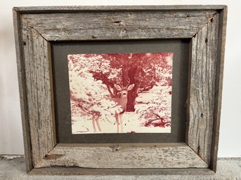 Vintage Deer Photo In Rustic Frame