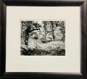 Ronald Wohlauer 1980 Black And White Silver Print