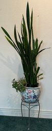 Live Dracaena Trifasciata Plant W/ Ceramic Floral Planter & Metal Plant Stand