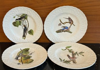 Collection Of Alfred Mfakin England Birds Of America Plates