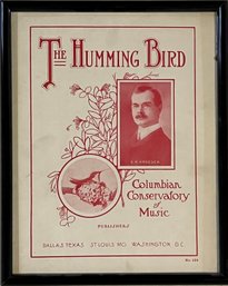 The Hummingbird Framed Print
