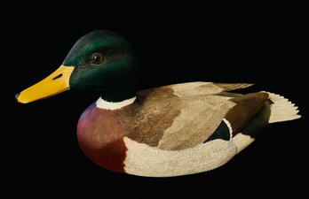 Vintage Mallard Duck Decoy- Signed