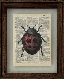 Lady Bug Print On Book Page, Framed
