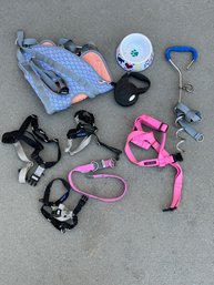 Pet Essentials Including Harness And Collars