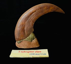 Utahraptor Claw Reproduction