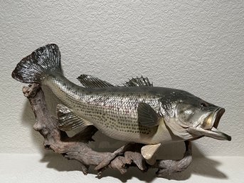 Taxidermed Trophy Fish