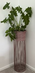 Live Perennial Plant W/ Wicker Plant Stand