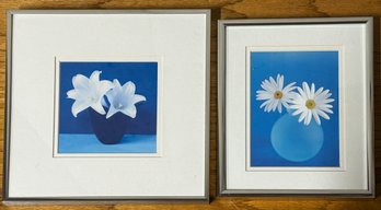 Duo Of Framed Flower Prints
