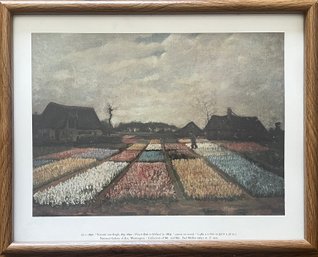 Framed Poster - Vincent Van Gogh 'Flower Beds In Holland'