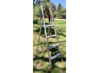 Davidson Metal Household Type III Platform Ladder Model 566-04