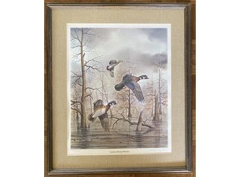 Numbered And Signed Allen Hughes Cypress Swamp Woodies Print