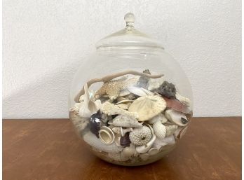 Large Glass Jar Full Of Sea Shells