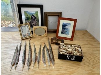 Grouping Of Corks Pheasant Feathers And Picture Frames