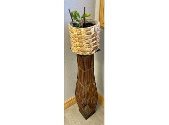 Plant Stand With Live Plant