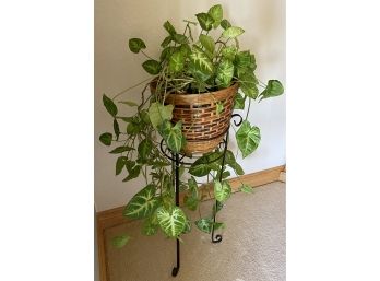 Live Plant In Wicker Basket On Metal Stand