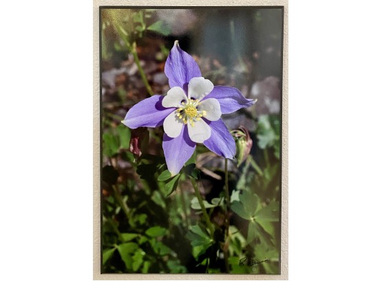 Flower Photo Dura PLAQ Made In The USA