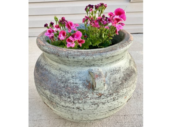 Geranium In Pretty Planter Pot