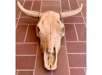 Ceramic Animal Skull Wall Hanging- Read