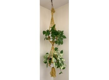 2 Live Plants In Handmade Vintage Yarn Hanger