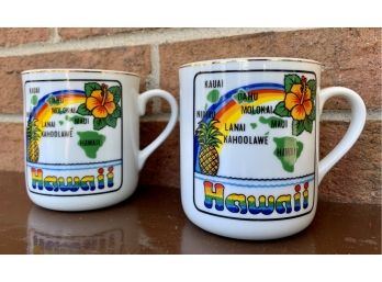 Pair Hawaii Rainbow Colored Souvenir Mugs