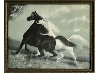 Antique Print Of Black Stallion