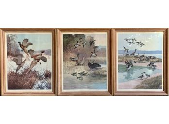 3 Vintage Bird Prints In Wood Frame 1944 By Field & Stream Publishing Co.
