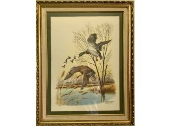 Vintage Framed Duck Print In Gold Frame Signed And Numbered  Patrick J. Costello 1975