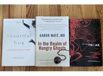 Grouping Of Books On Addiction & Recovery Including In The Realm Of Hungry Ghosts