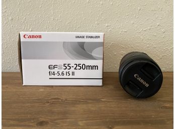 Canon EF-S 55-250 Mm Zoom Lens