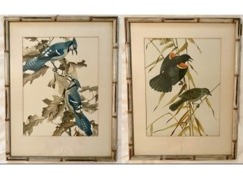 2 Vintage Framed Bird Prints In Bamboo Style Frames