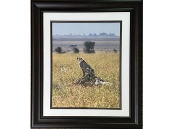Close Call! Framed Photo Of Cheetah And Gazelle Taken In Africa