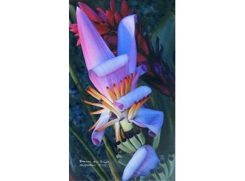 Arius Hopman Flower Photo Art