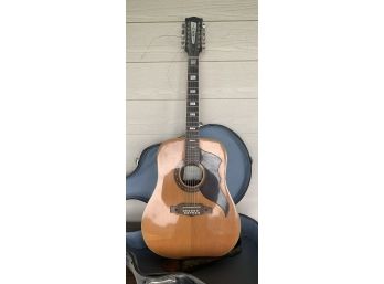 Eco 12 String Guitar With Case