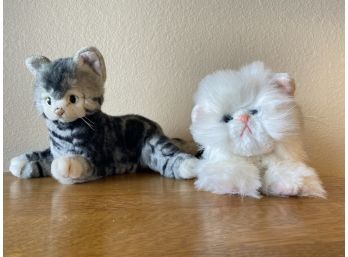 Takara & Kitty Kitty Kittens Bundle