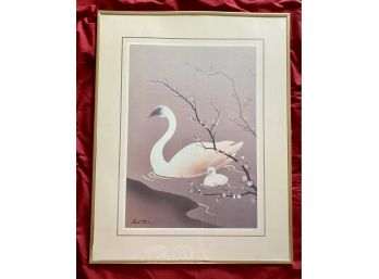 Framed Swan And Duckling Print