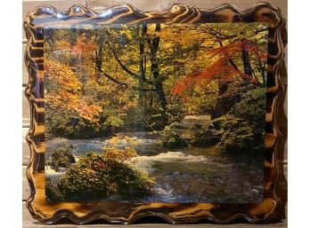 Lacquered Wood Forrest Photo