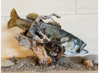 Bass Fish Taxidermy Mounted On Wood Base