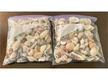Two Bags Of Seashells