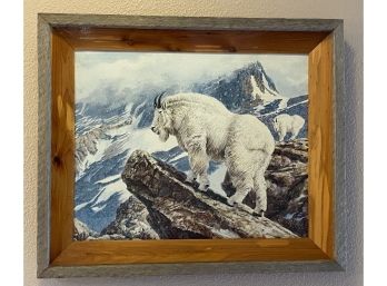 Mountain Goat Print In Frame