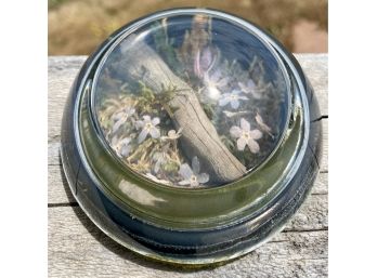 Vintage Paperweight With Real Flowers And Stick