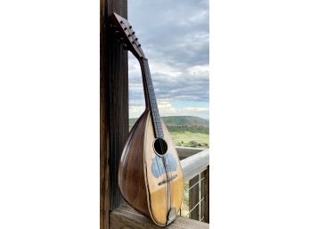Vintage Shubert Round Back Mandolin