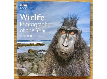 BBC Wildlife Photographer Of The Year Portfolio