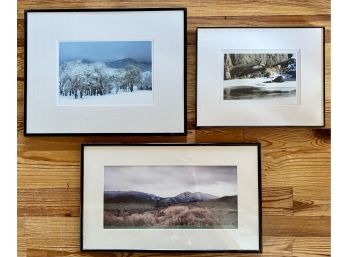 Collection Of Framed Photos