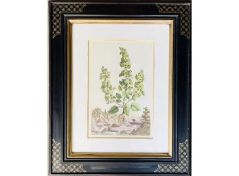 Trowbrige Botanical Print 'antiquorium' With Gilded Black Frame